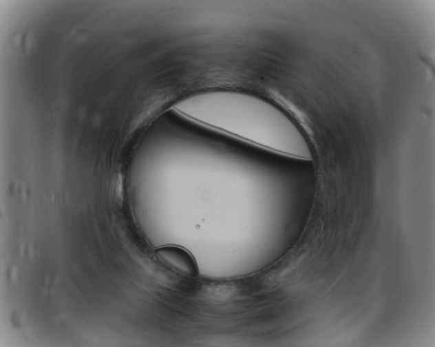 X0000097880067200803140952
