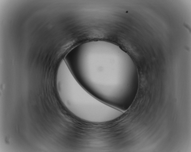 X0000097880068200803140952