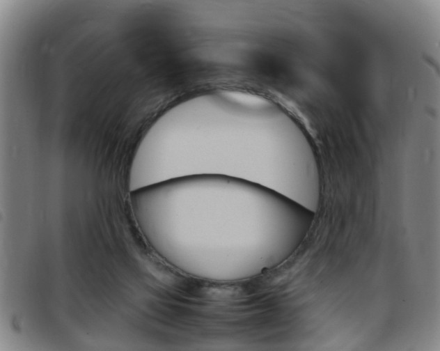 X0000097880069200803140952
