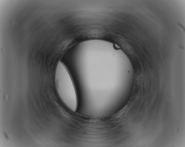 X0000097880070200803140952