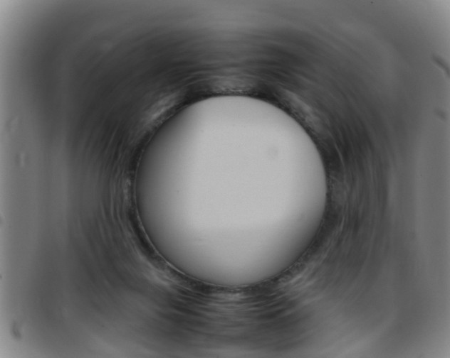 X0000097880071200803140952