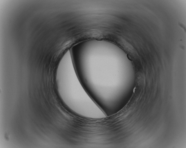 X0000097880072200803140952