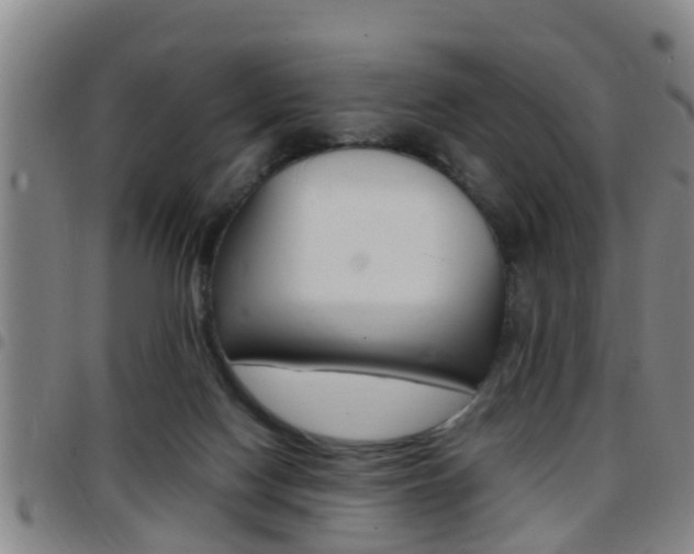 X0000097880074200803140952