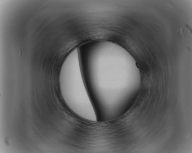 X0000097880076200803140952