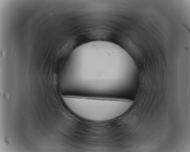 X0000097880077200803140952