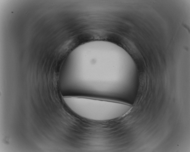 X0000097880078200803140952