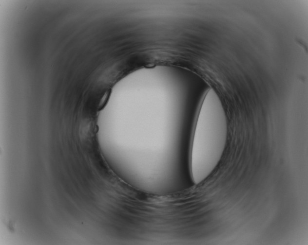 X0000097880079200803140952