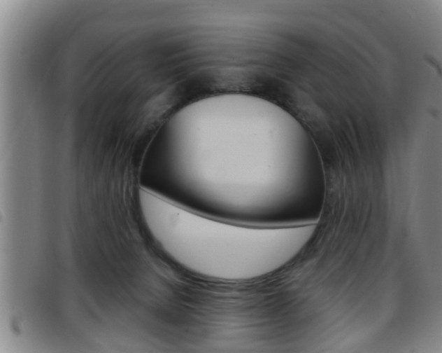 X0000097880080200803140952