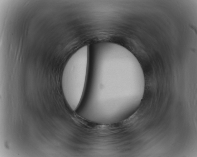 X0000097880082200803140952