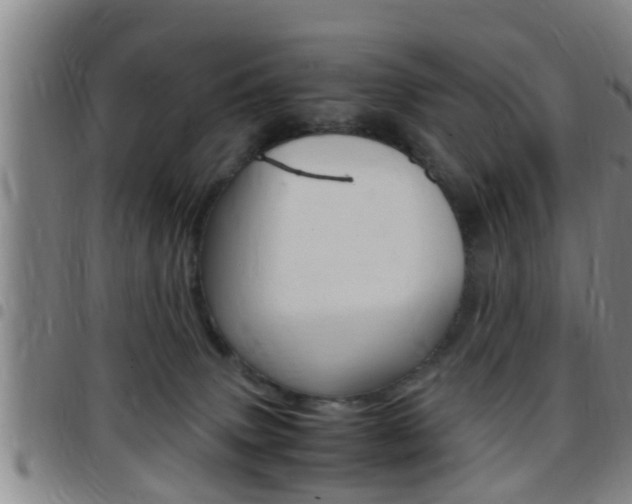 X0000097880083200803140952