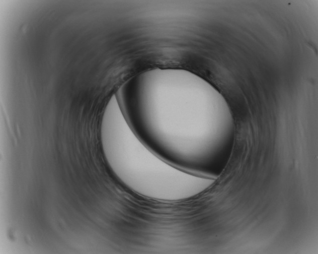 X0000097880084200803140952