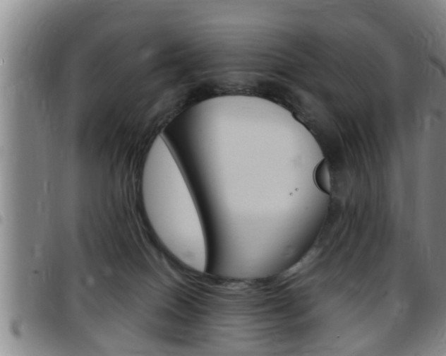 X0000097880086200803140952