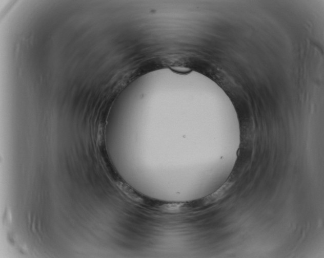 X0000097880090200803140952