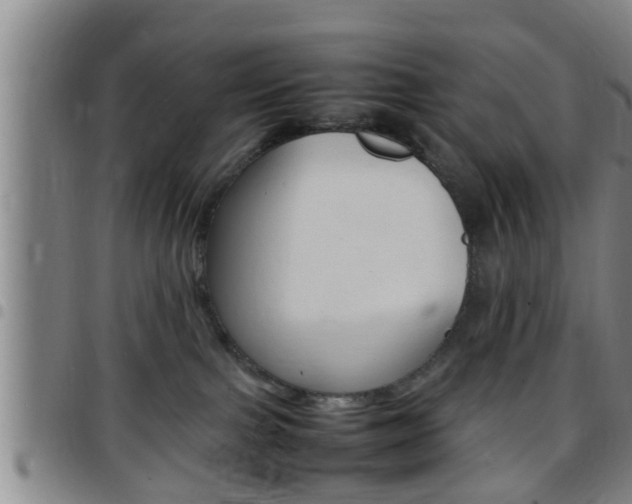 X0000097880091200803140952