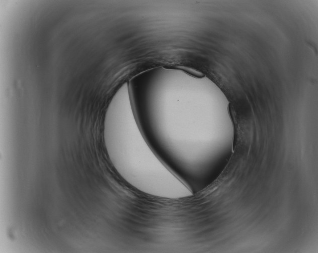 X0000097880092200803140952