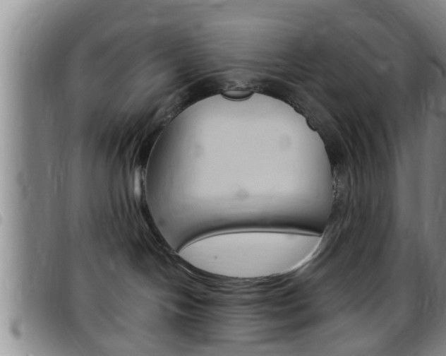 X0000097880094200803140952