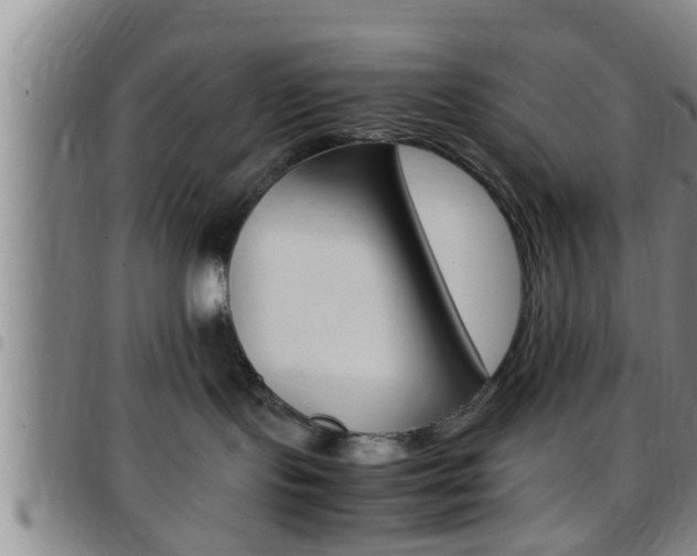 X0000097880095200803140952