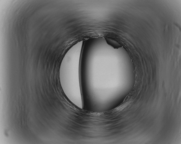 X0000097880096200803140952