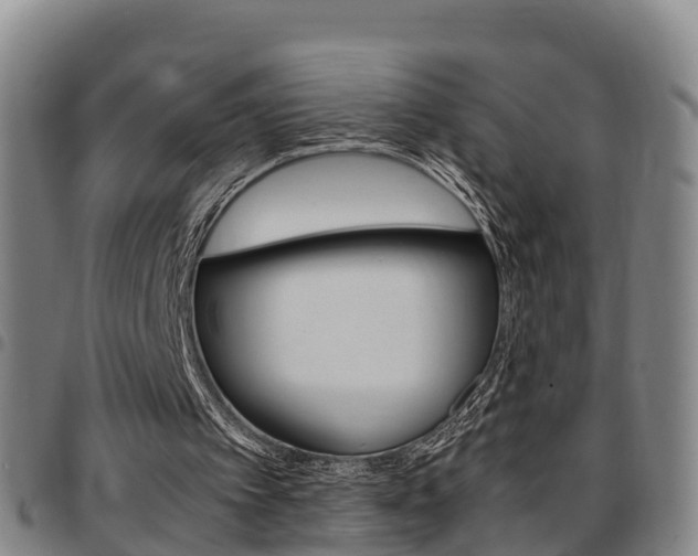 X0000097880097200803140951