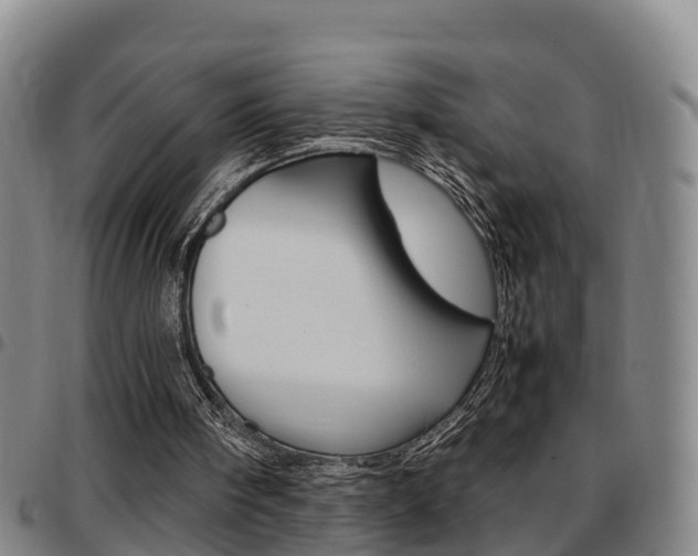 X0000097880098200803140951