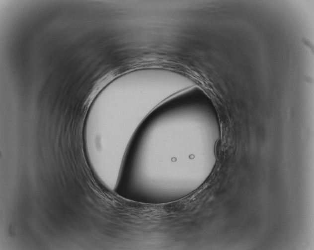 X0000097880099200803140951