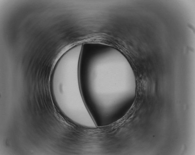X0000097880100200803140951