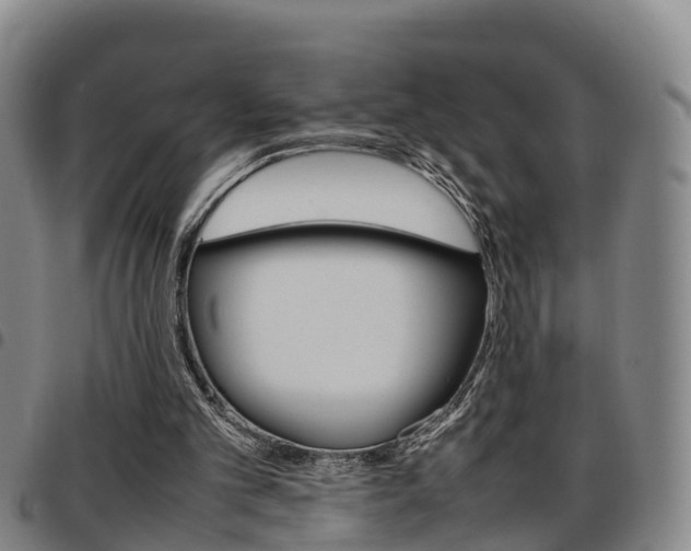 X0000097880101200803140951