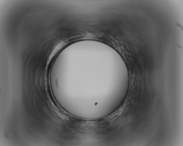 X0000097880102200803140951