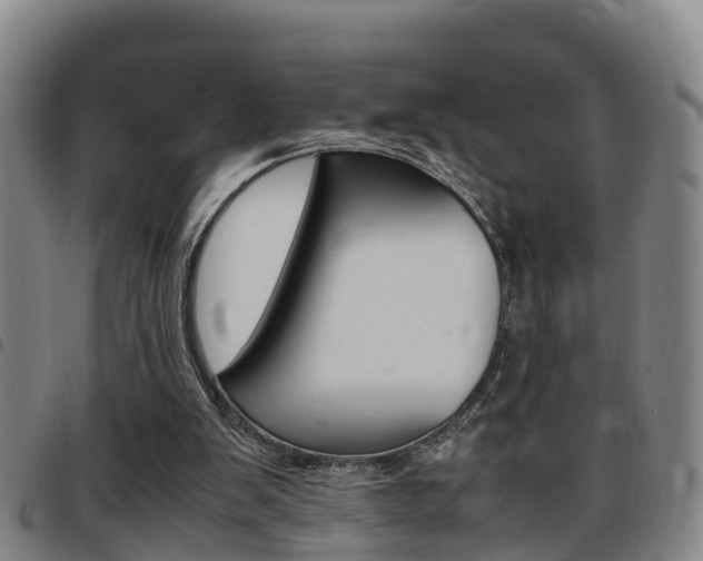 X0000097880103200803140951