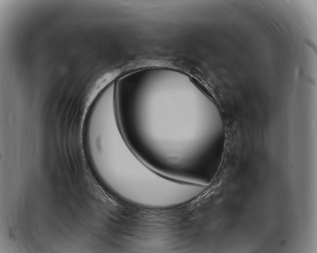 X0000097880104200803140951
