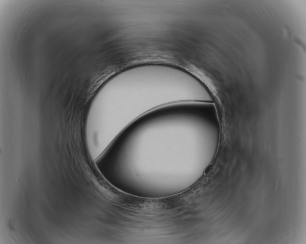X0000097880105200803140951