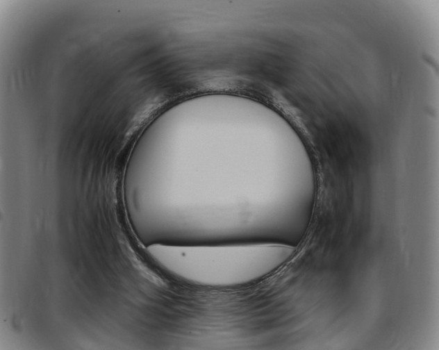 X0000097880106200803140951