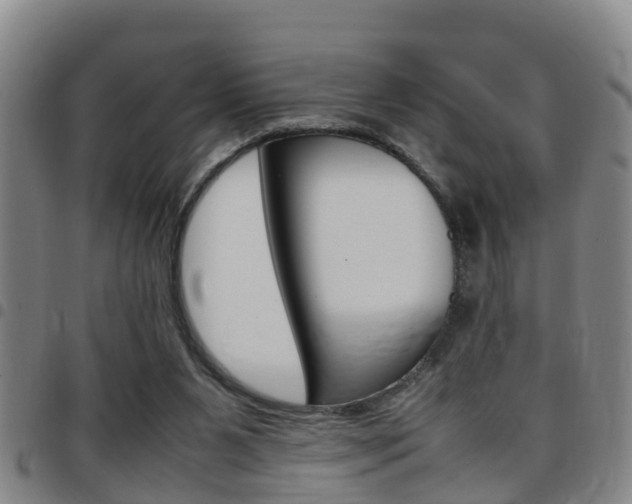 X0000097880111200803140951
