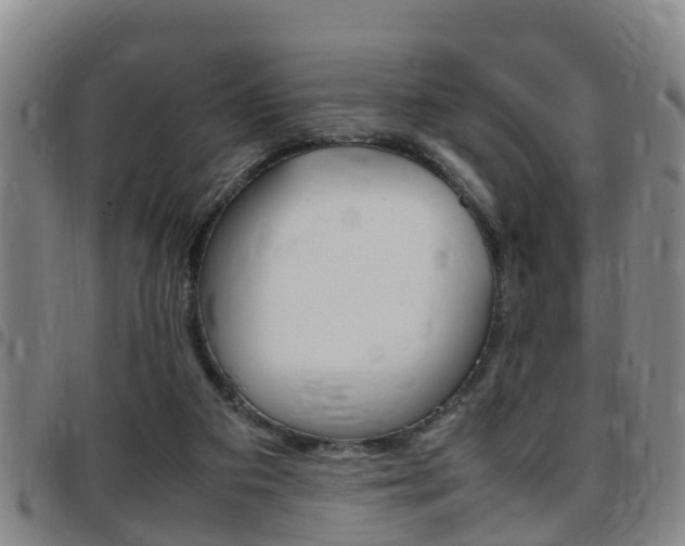 X0000097880113200803140951