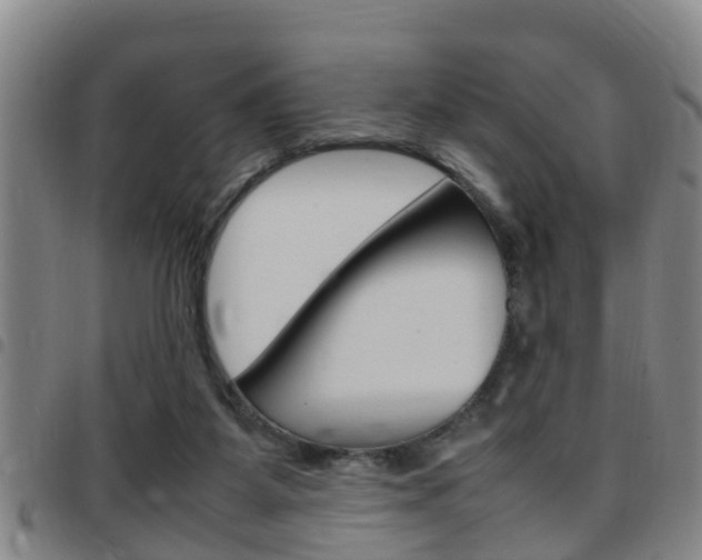 X0000097880115200803140951