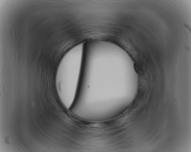 X0000097880117200803140951