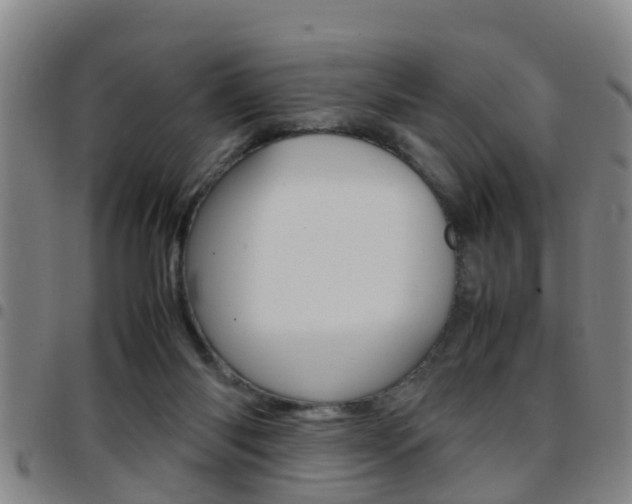 X0000097880118200803140951