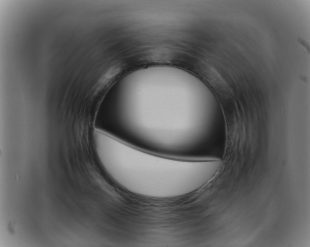 X0000097880120200803140951