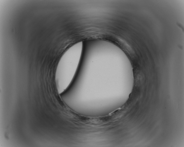 X0000097880121200803140951