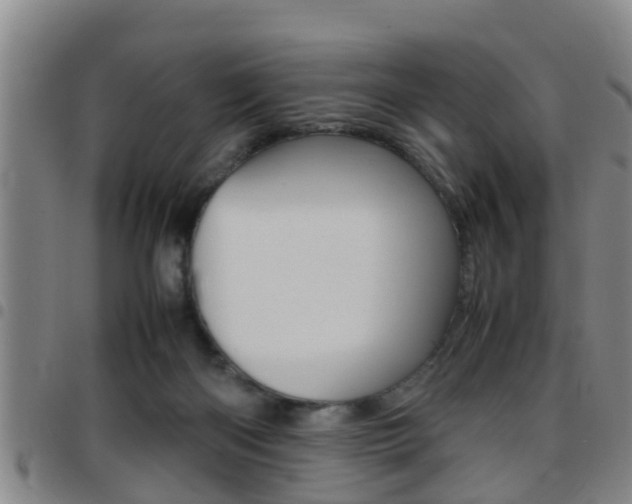 X0000097880122200803140951