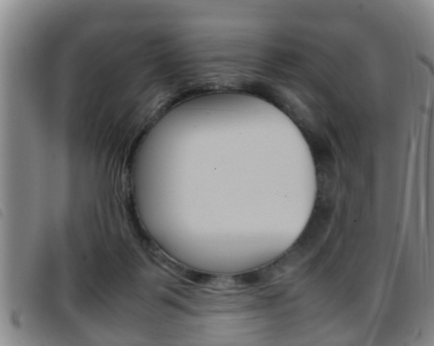 X0000097880123200803140951