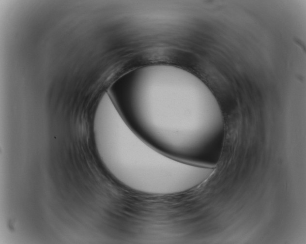 X0000097880124200803140951