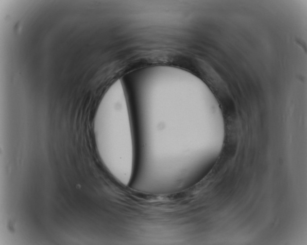 X0000097880125200803140951