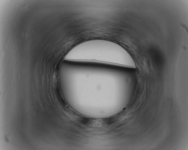 X0000097880127200803140951