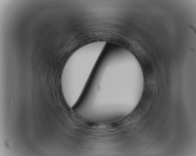 X0000097880129200803140951