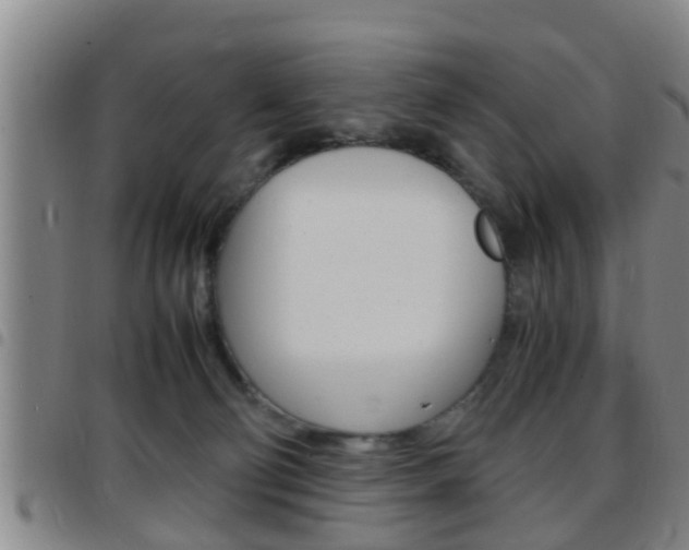 X0000097880130200803140951