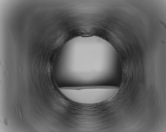 X0000097880132200803140951