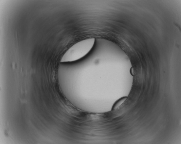 X0000097880134200803140951