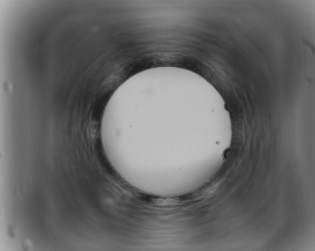 X0000097880135200803140951