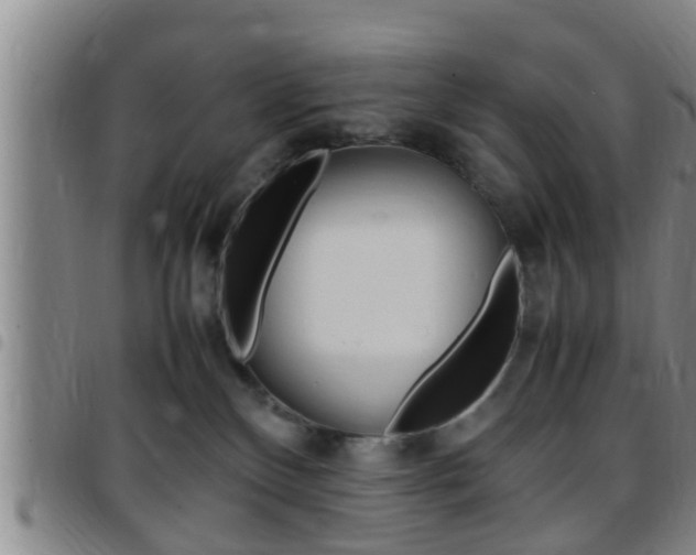 X0000097880136200803140951